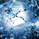 Neurosurgery