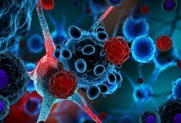 Oncology